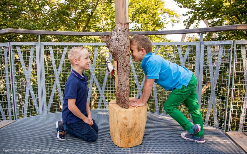 Kinder auf dem Baumkronenweg