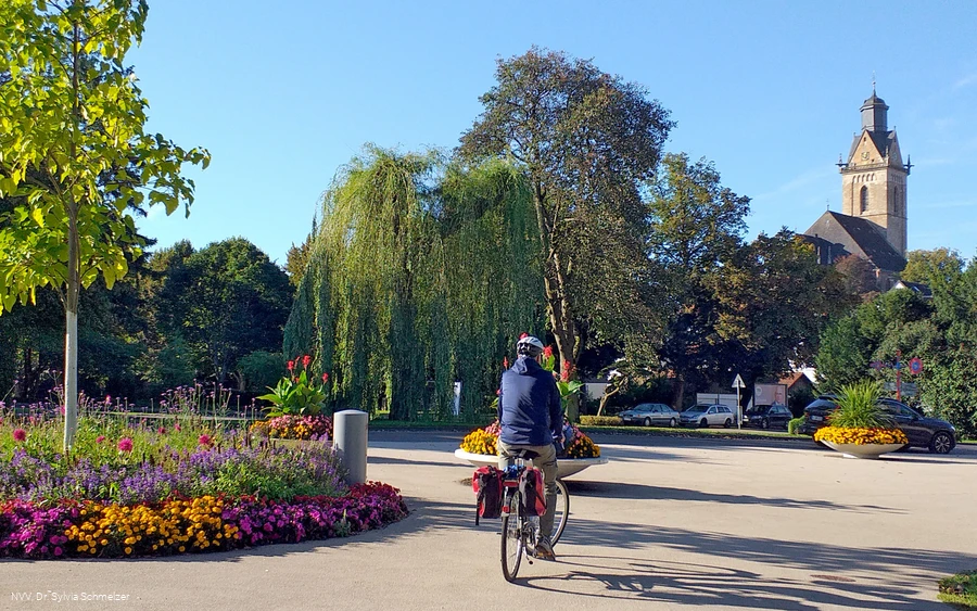 Radfahrer Stadtpark StrotherStr