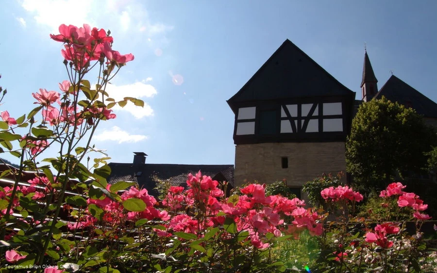 Rosendorf Rosendorf