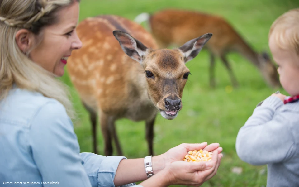Wildpark Frankenberg (Eder)