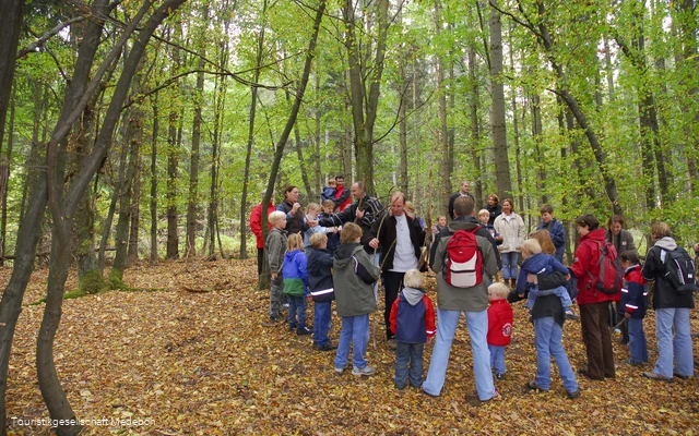 Een wandeling in het bos herbergt onverwachte geheimen die worden onthuld tijdens deze begeleide wandeling met een getrainde gids.