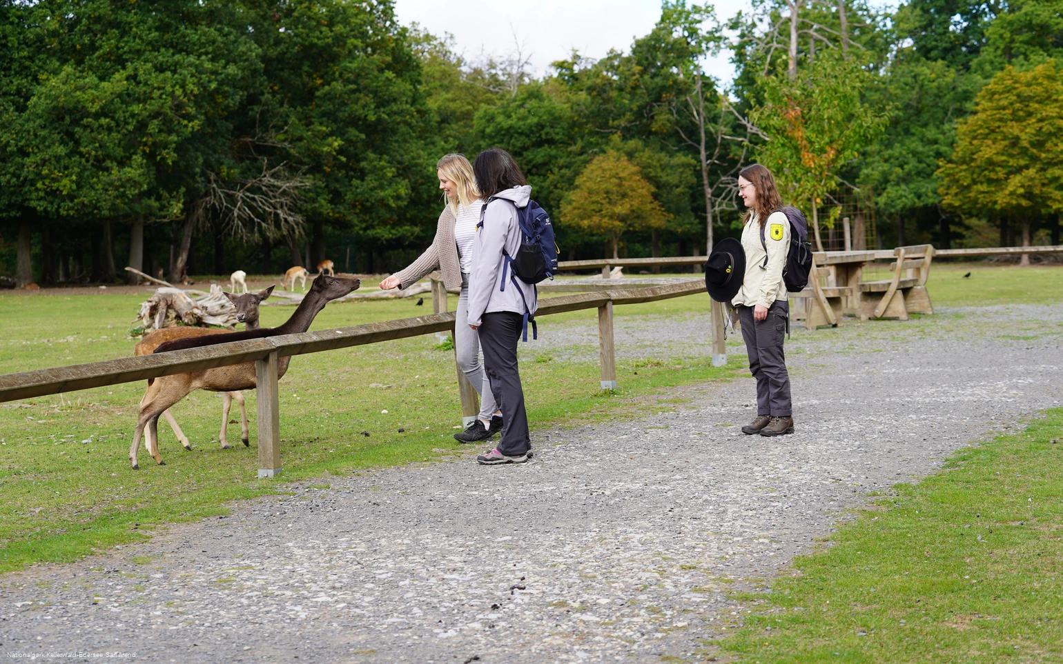  WildtierPark Edersee 