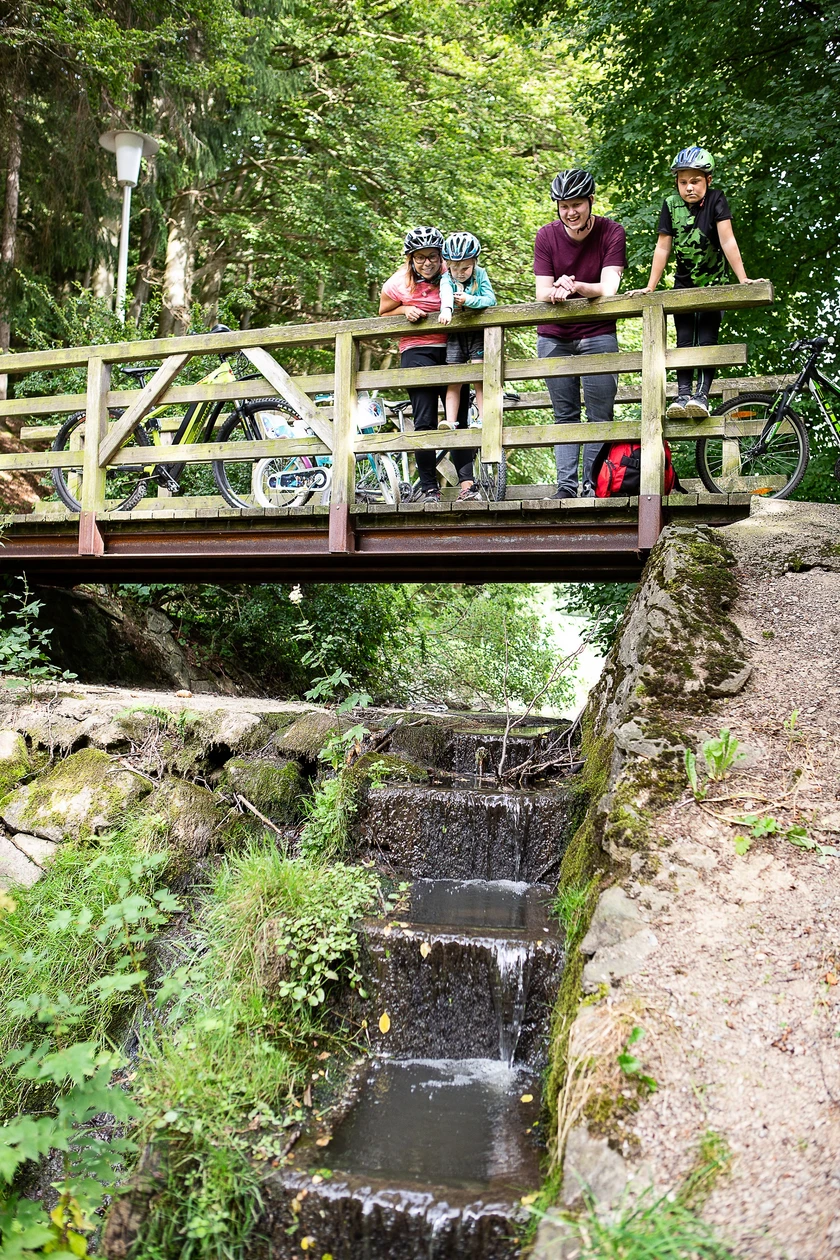 NP Diemelsee_print_diemelradweg-willingen-5092.jpg