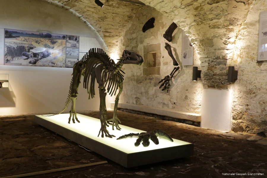 Prehistorische reptielen in het Haus H&ouml;vener Museum in Brilon
