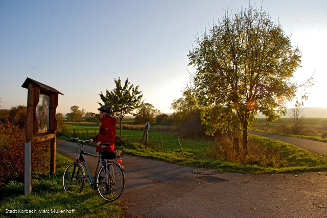 Marbecktal Fahrrad Herbst Gegenlicht