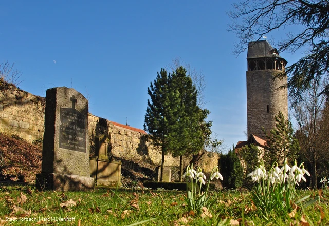 Fruehling Totenhagen Graeber Tylenturm