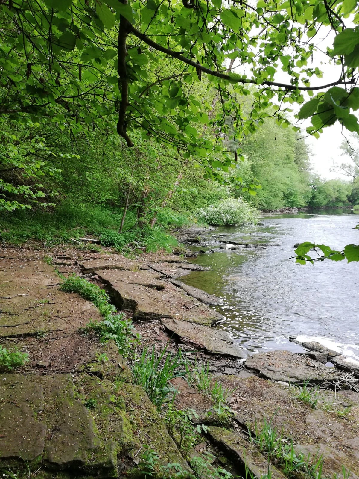 An der Edestede bei Birkenbringhausen