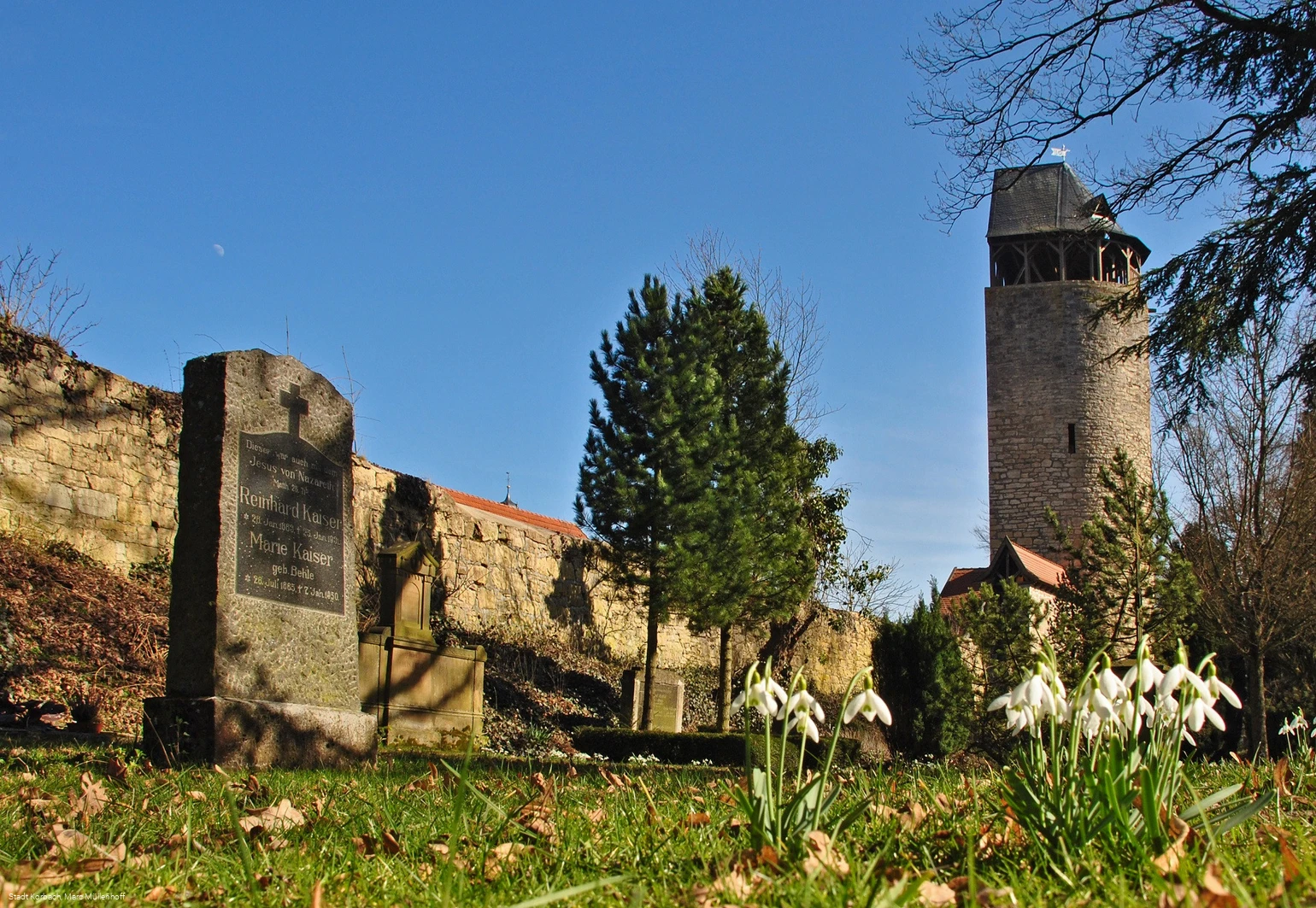 Fruehling Totenhagen Graeber Tylenturm