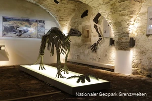 Urzeitreptilien im Briloner Museum Haus Hövener